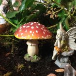 one toadstool one fairy seated