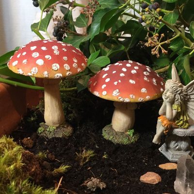 two toadstools and fairy sat on stone